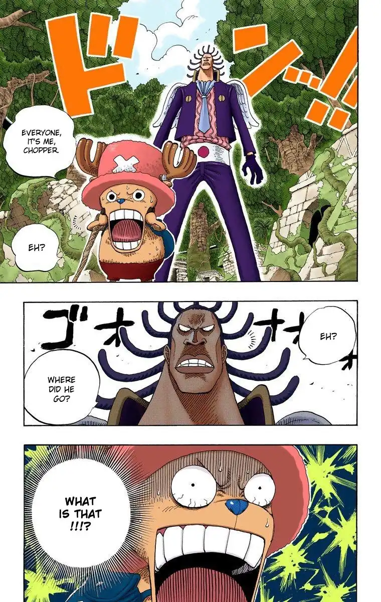 One Piece - Digital Colored Comics Chapter 261 20